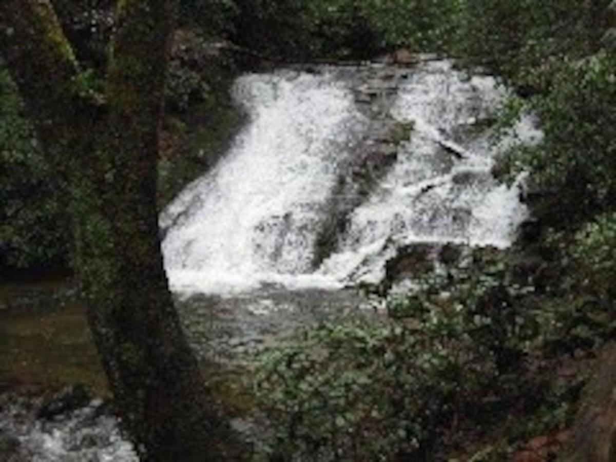 Tuckaseegee @ Sky Ridge Yurts مدينة كليرمونت المظهر الخارجي الصورة